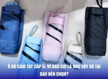 Ô Dù Cầm Tay Gấp 5: Vì Sao Gọi Là Như Vậy Và Tại Sao Nên Chọn?