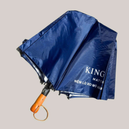 DÙ GẤP 2 - 70CM