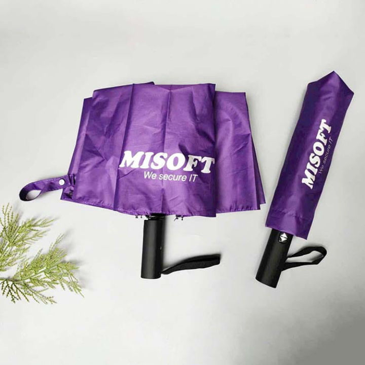 DÙ G3-2 CHIỀU R58cm, 10 NAN